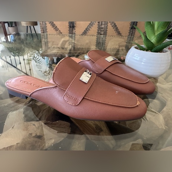 Coach Mule - Picture 1 of 4